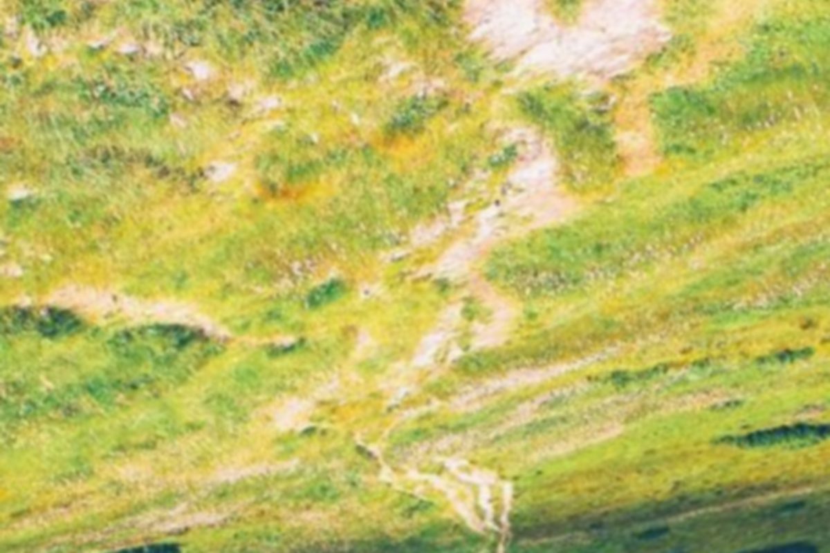 Rider descending a wooded hillside